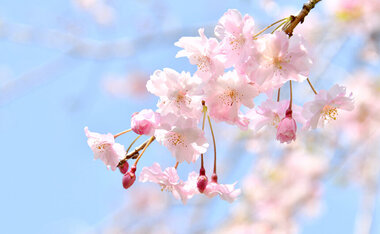 令和8年度警察官（A）第1回採用候補者試験【SPI区分】第2次試験の御案内