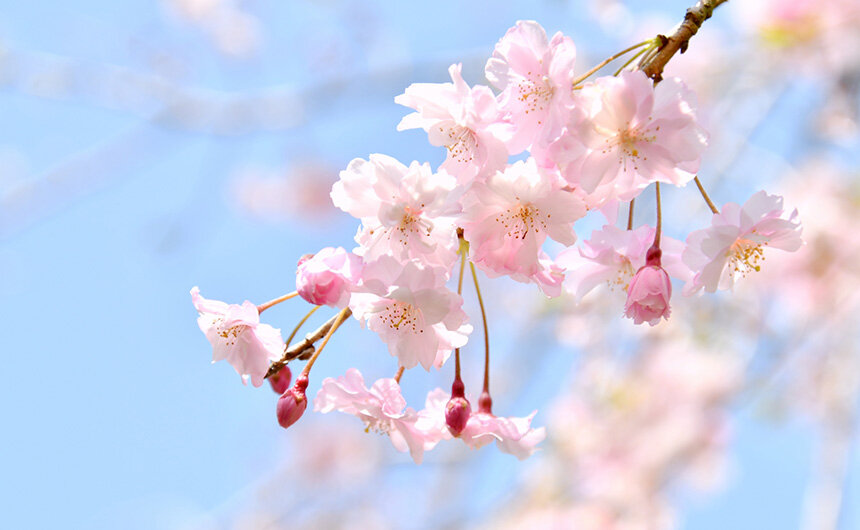 令和8年度警察官（A）第1回採用候補者試験【SPI区分】第2次試験の御案内